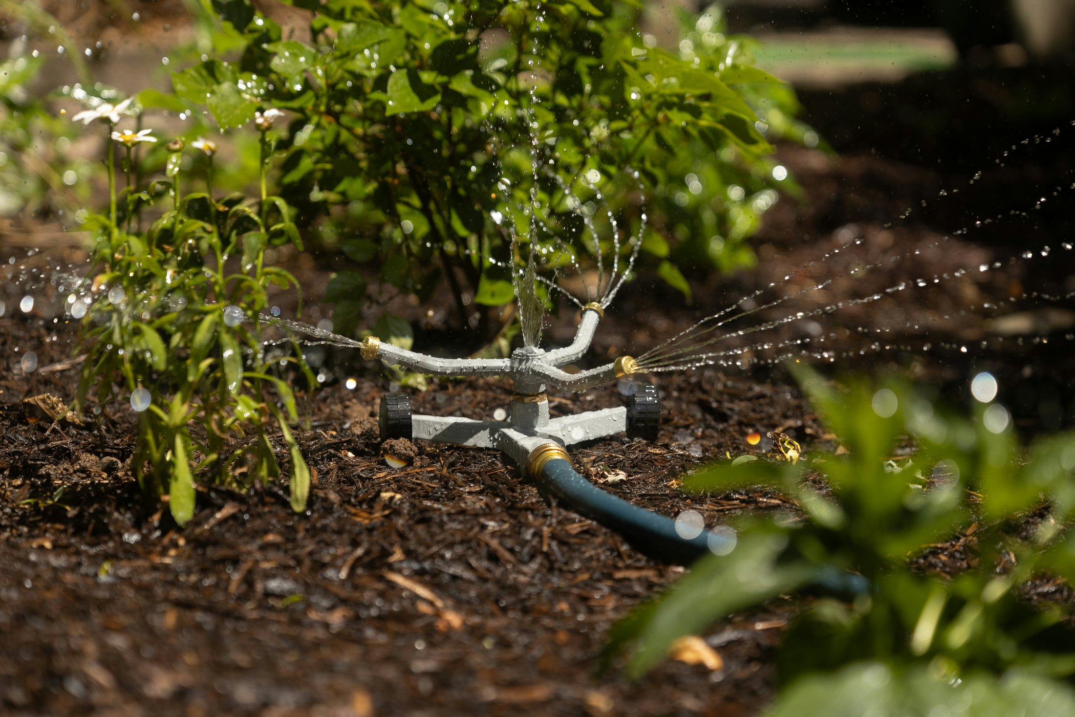 Garden Irrigation