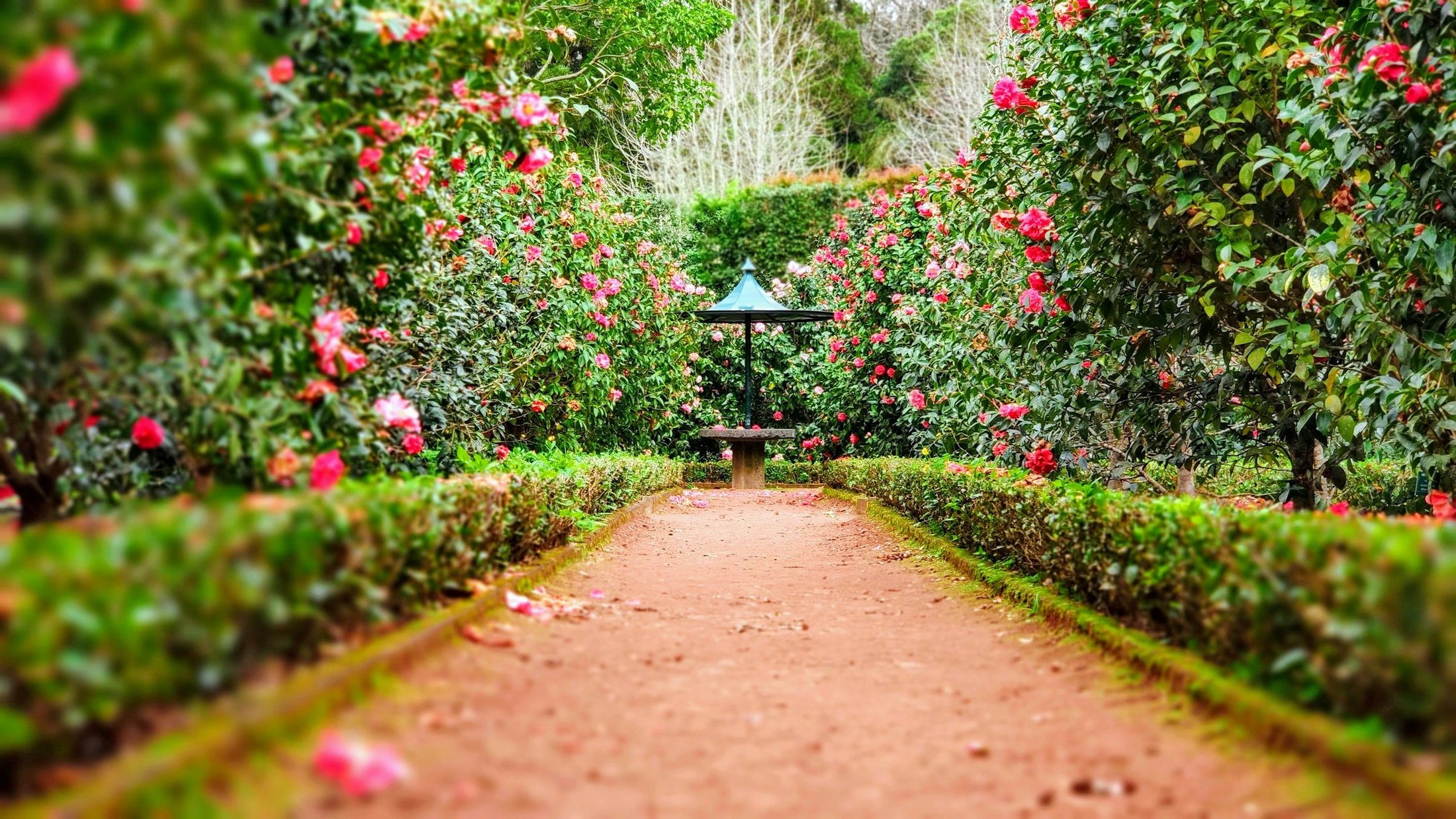 Landscaping